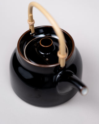 Japanese teapot Basic Series By Hakusan